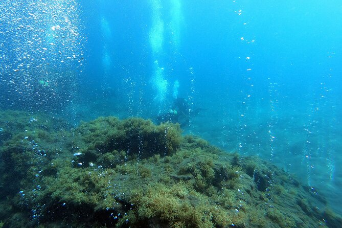 Double Scuba Diving - Vila Franca do Campo: the first underwater stop