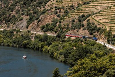 Douro Experience - Boat and Train Ride - Lunch and Wine Tasting - All Included - Pinhão by Train: A River View You Can Actually Enjoy