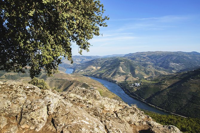 Douro Full Day Tour with Wine Tasting and Lunch - Key Highlights You’ll Care About