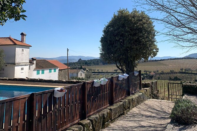 Douro Full Day Tour with Wine Tasting and Lunch - Entering the Day: Cais da Régua to Galafura