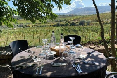Douro Full Day Tour with Wine Tasting and Lunch - Quinta Coimbra de Mattos: A Proper 5-Wine Tasting Start