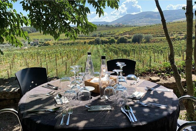 Douro Full Day Tour with Wine Tasting and Lunch - Quinta Coimbra de Mattos: A Proper 5-Wine Tasting Start