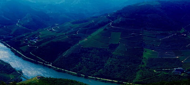 DOURO PREMIUM - Why this Douro day works so well