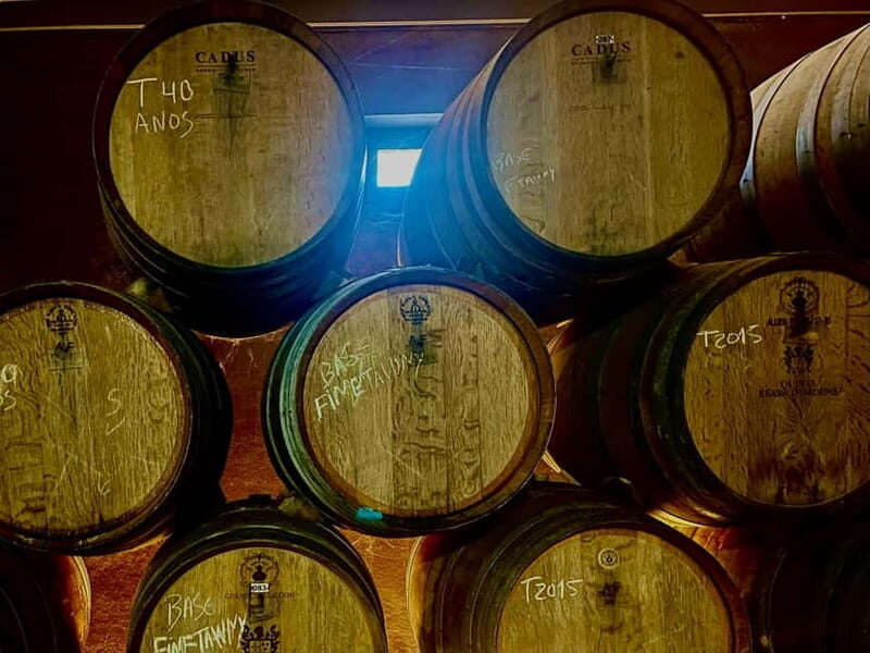 DOURO PREMIUM - Winery visit: guided tour, DOC and Port tastings, and shopping time