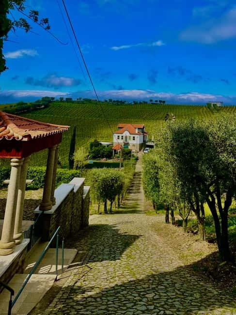 DOURO PREMIUM - Wine tasting in plain terms: how to enjoy Port plus DOC