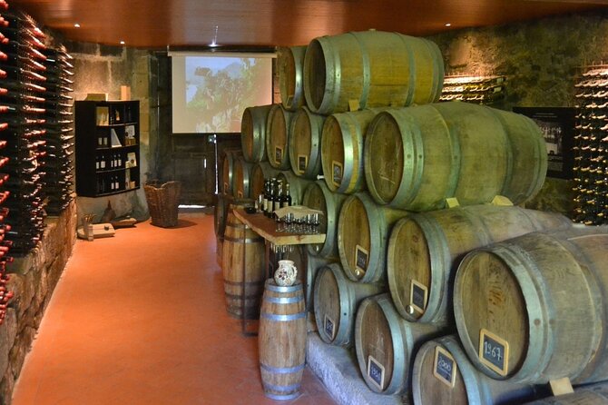 Douro Three Winery Small Group Tour with Lunch and Tastings - Key Things to Know Before You Go