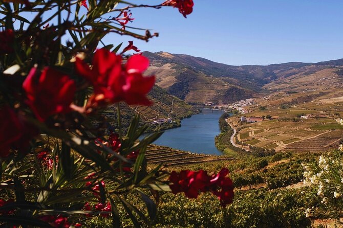 Douro Three Winery Small Group Tour with Lunch and Tastings - Porto Pickup and Drop-Off: Less Time Searching, More Time Drinking Water (and Wine)