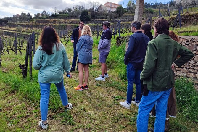 Douro Tour with Wine Tasting, River Cruise and Visit to Lamego - Douro Valley Without the Planning Headache