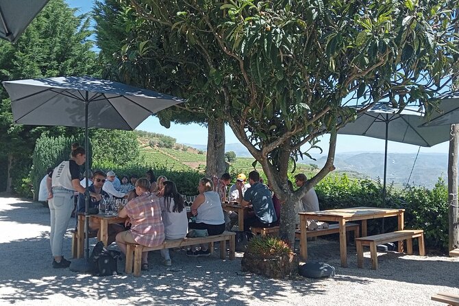 Douro Tour with Wine Tasting, River Cruise and Visit to Lamego - Lamego Vineyard Visit: Family Wines, Better Taste Notes