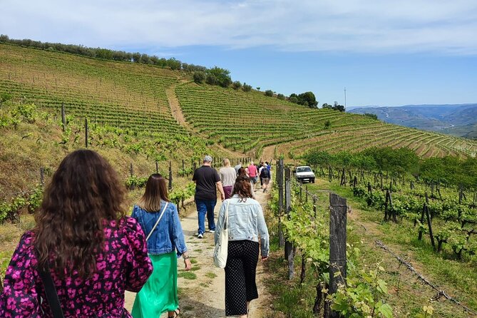 Douro Tour with Wine Tasting, River Cruise and Visit to Lamego - Pinhão River Cruise on Traditional Rabelo Boats