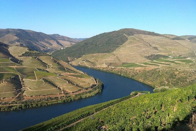 DOURO TOURS - Premium Tour - Quinta stop #2 for Port wine: 3 Port wines and the comparison game