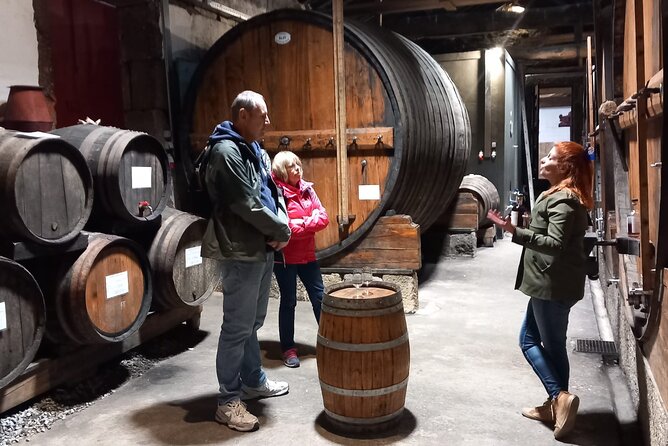 DOURO VALLEY & AMARANTE: Private Tour, Wine Tour and Cruise - The Pinhão to Peso da Régua Road: Photo Stops Meet Scary-But-Scenic Driving