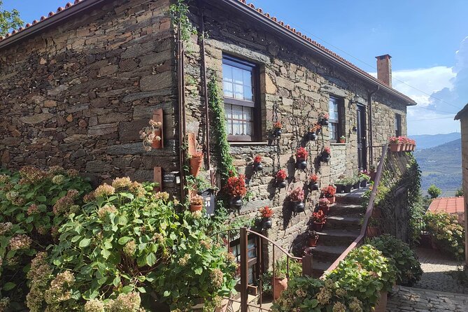 Douro Valley amazing wine Tours - The first winery stop in Peso da Régua: DOC tastings plus Porto and olive oil