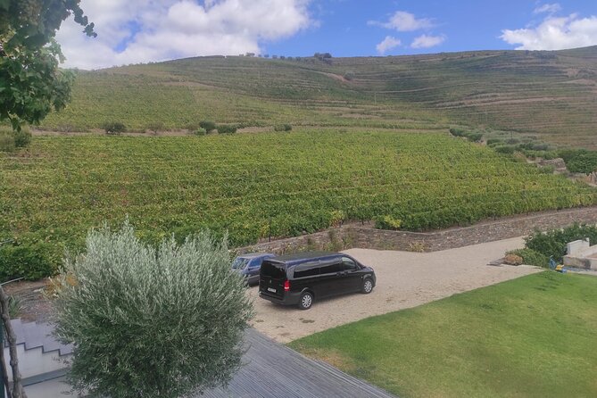 Douro Valley amazing wine Tours - Miradouro de São Leonardo de Galafura: viewpoint time that actually lasts