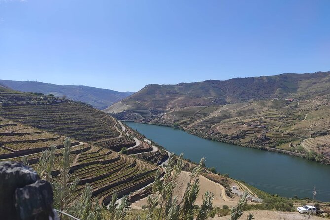 Douro Valley amazing wine Tours - EN 222: the scenic road moment you’ll remember