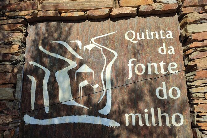 Douro Valley amazing wine Tours - Folgosa family winery: one of the Douro terroirs stop
