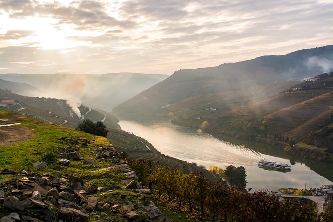 Douro Valley and Régua Panoramic Cruise with Lunch from Porto - Lunch On Board: What You Can Expect From the All-Inclusive Meal