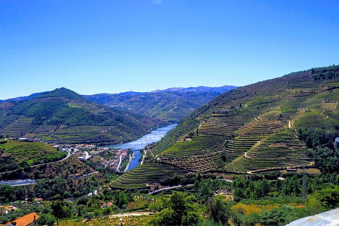 Douro Valley and Régua Panoramic Cruise with Lunch from Porto - The Cruise Back Toward Porto: Bridges, Water, and Letting Time Slow