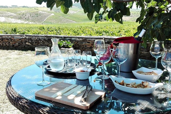 Douro Valley Best-Of Private Tour – Fully Customizable Experience - N222 + Private Transport: What Makes This Douro Day Worth It