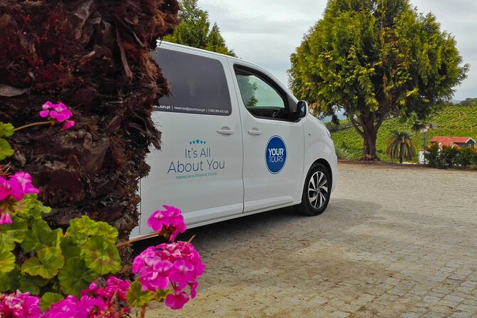 Douro Valley Best-Of Private Tour – Fully Customizable Experience - How the Day Flows: Pickup at 8:30 and a Full 8–9 Hours