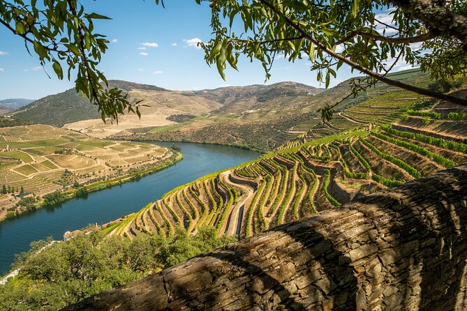 Douro Valley Best-Of Private Tour – Fully Customizable Experience - Stop 3: Provesende Wine Lunch With DOC Douro Pairings