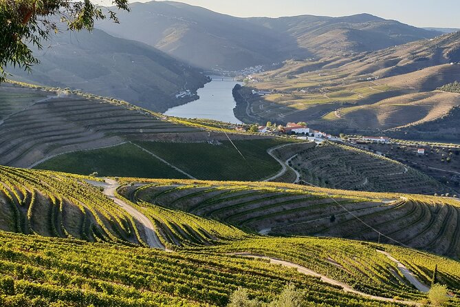 Douro Valley Best-Of Private Tour – Fully Customizable Experience - Price and Logistics: Is $249.63 per Person Good Value?