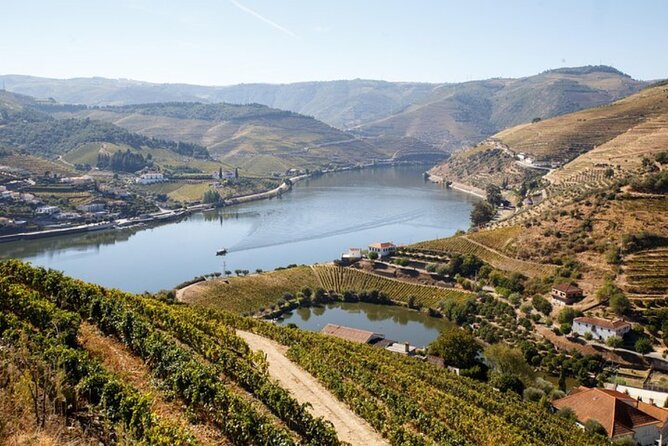 Douro Valley Exclusive and Sustainable Experience from Porto - Key Highlights You’ll Actually Notice