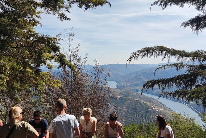 Douro Valley Exclusive and Sustainable Experience from Porto - Price Check: What $155.77 Buys in a Full Douro Day