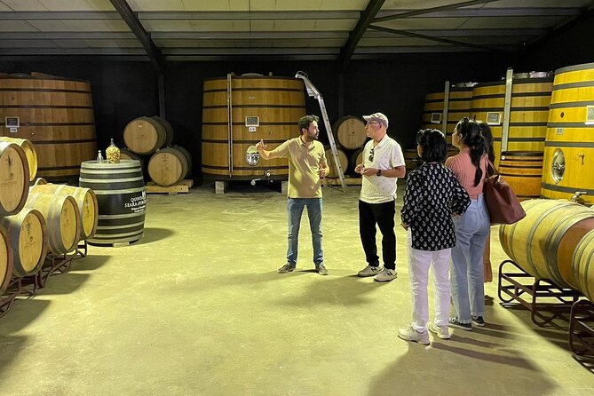 Douro Valley Exclusive and Sustainable Experience from Porto - Porto to Pinhão Station: Tiles, Coffee Time, and a Real WC Break
