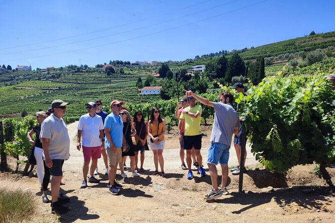 Douro Valley for Wine Lovers with Visit to 4 Wineries and Lunch - Entering the Douro Valley Day From Central Porto