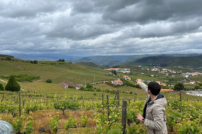 Douro Valley for Wine Lovers with Visit to 4 Wineries and Lunch - Stops Three and Four: Table Wines, Honey, and the Olive Oil Twist
