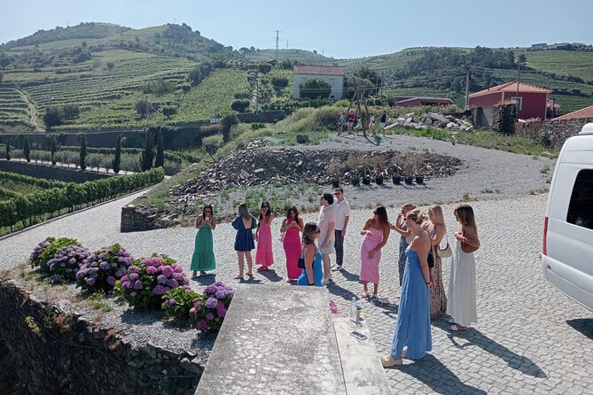 Douro Valley for Wine Lovers with Visit to 4 Wineries and Lunch - Pickup, Timing, and the Small-Group Promise
