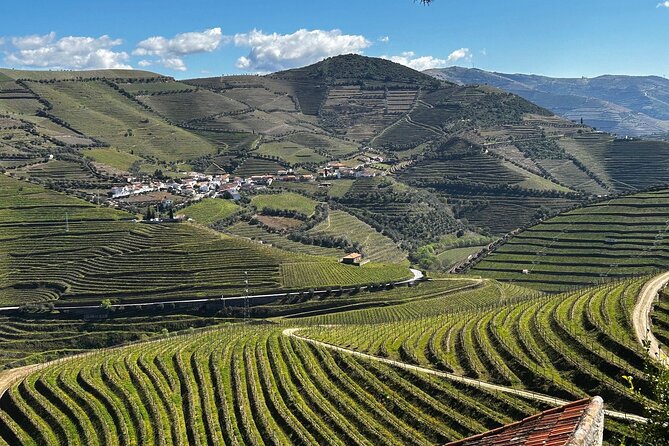 Douro Valley Half-Day Tour with Winery and Lunch From Porto - Key Things I’d Plan Around