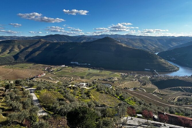 Douro Valley Half-Day Tour with Winery and Lunch From Porto - Price and Value From Porto: What $126.38 Buys You