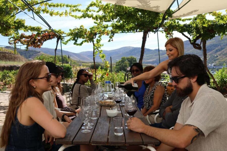 Douro Valley: Half-Day, with 1 winery & 1-h boat tour - Douro Valley in Half a Day: What You’re Really Buying
