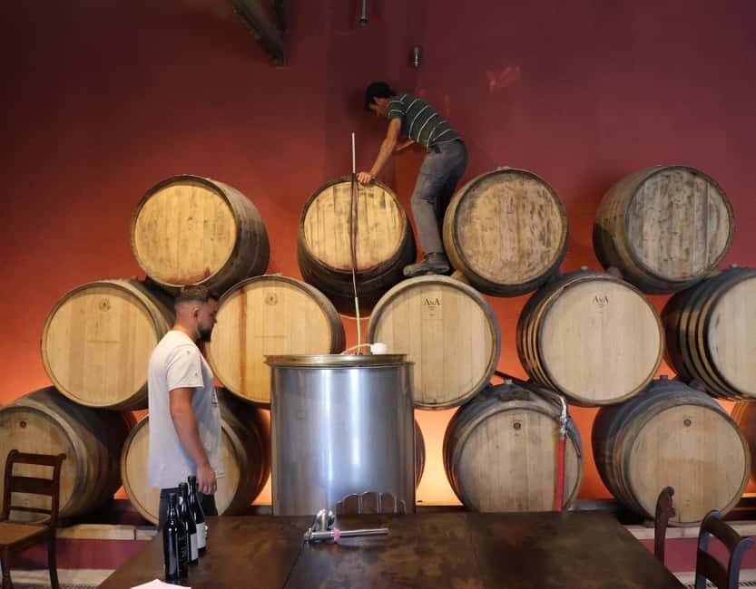 Douro Valley: Half-Day, with 1 winery & 1-h boat tour - Timing, Comfort, and Group Size: What 7–9.5 Hours Feels Like
