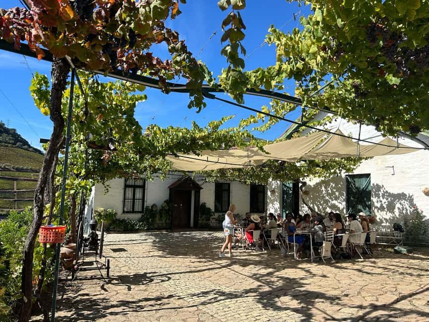 Douro Valley: Half-Day, with 1 winery & 1-h boat tour - Who This Tour Suits Best (And Who Should Be Pickier)