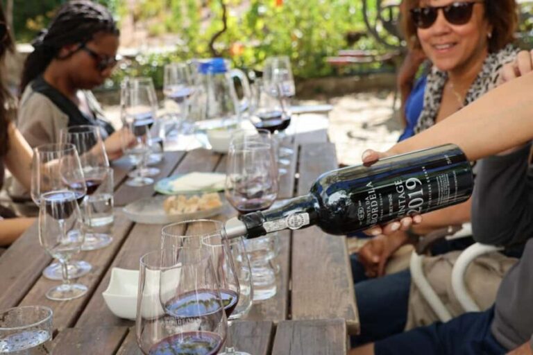 Douro Valley: Half-Day, with 1 winery & 1-h boat tour - The Porto-to-Douro Drive and N222 Viewpoints (Your Camera’s New Best Friend)