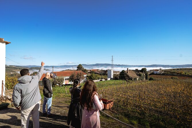 DOURO VALLEY: Lunch in a winery, tastings & 1-h private boat tour - Winery stops in Pinhão and Peso da Régua: tastings that feel more like conversations