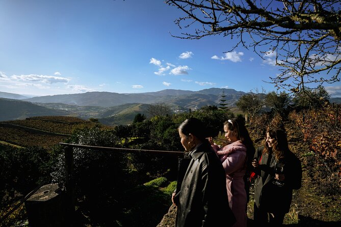 DOURO VALLEY: Lunch in a winery, tastings & 1-h private boat tour - Lunch with wine pairings: what you eat (and how it’s handled for diets)