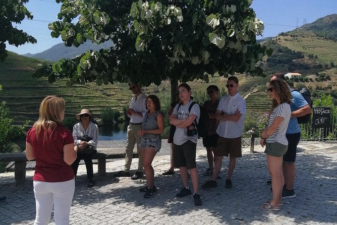 DOURO VALLEY: Lunch in a winery, tastings & 1-h private boat tour - What guides really add: names you might hear, and what they tend to deliver