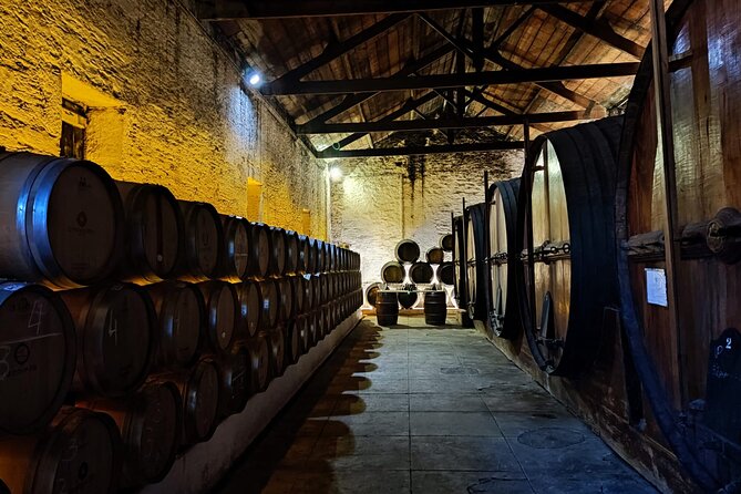 Douro Valley Pinhao Quinta da Foz Tour and Tasting 5 Wines - Barefoot winemaking: the tradition you’ll understand more than you’ll just watch