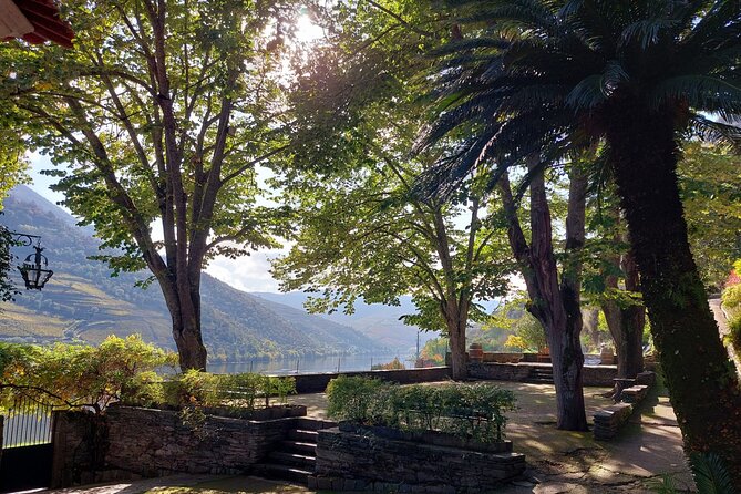 Douro Valley Pinhao Quinta da Foz Tour and Tasting 5 Wines - The cellar and Port aging: where the tasting starts making sense