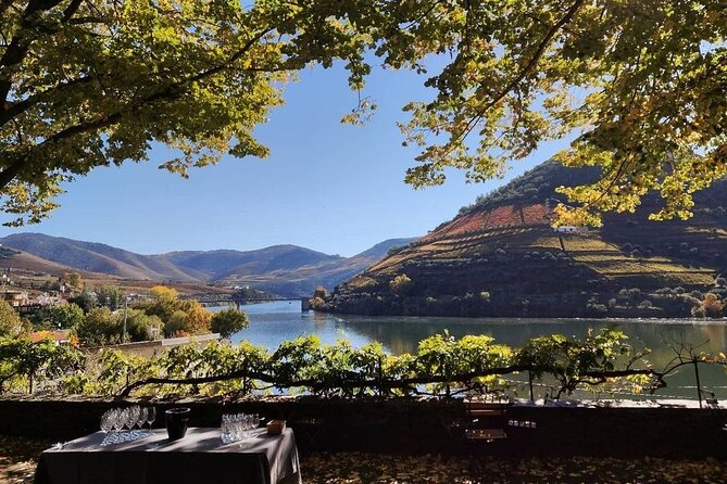 Douro Valley Pinhao Quinta da Foz Tour and Tasting 5 Wines - Old vines walk, snacks, and the practical timing that shapes the experience