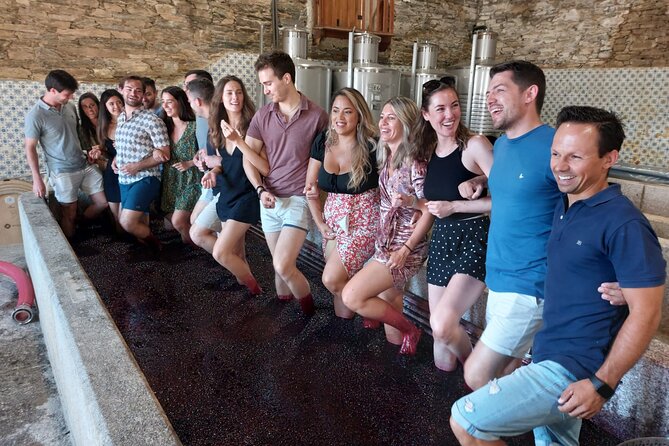 Douro Valley Pinhao Quinta da Foz Tour and Tasting 5 Wines - Is this private Douro wine tour right for you?