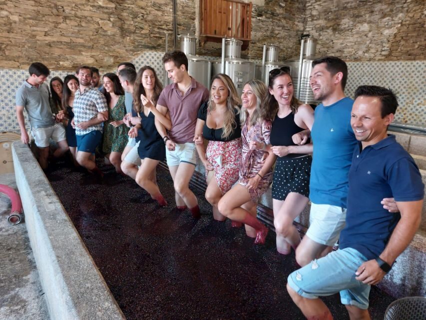 Douro Valley: (Pinhão) Quinta da Foz - Tour&Tasting 5 WINES - Key things worth clocking before you go