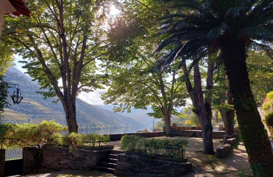 Douro Valley: (Pinhão) Quinta da Foz - Tour&Tasting 5 WINES - Inside the winery: vinification steps explained in plain language