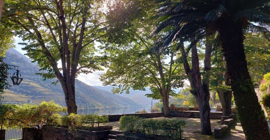 Douro Valley: (Pinhão) Quinta da Foz - Tour&Tasting 5 WINES - The traditional wine cellar: where aging changes the wine