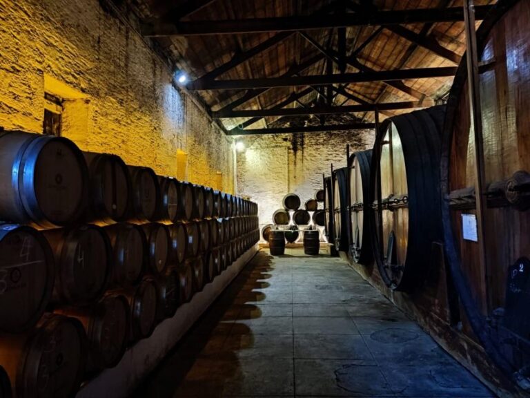 Douro Valley: (Pinhão) Quinta da Foz - Tour&Tasting 5 WINES - What’s actually included: the 5-wine lineup plus olive oil