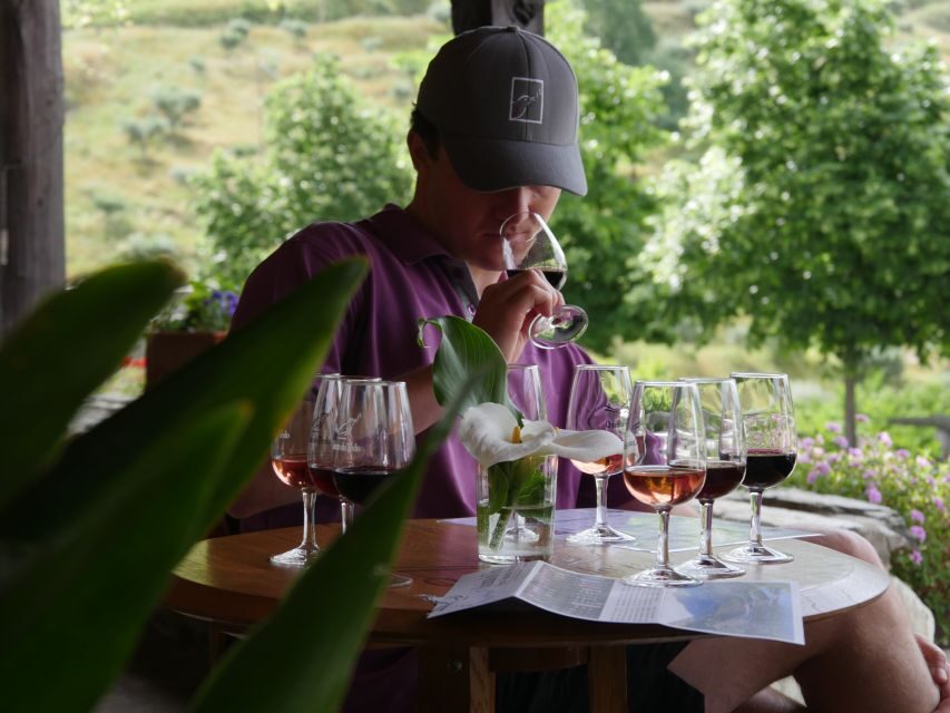 Douro Valley: Premium Port Tasting Winery Tour & River Views - Key highlights worth centering on